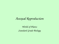 Asexual Reproduction (1).ppt